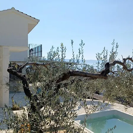 Olive Stone House فيلة