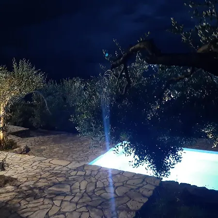 Olive Stone House فيلة *