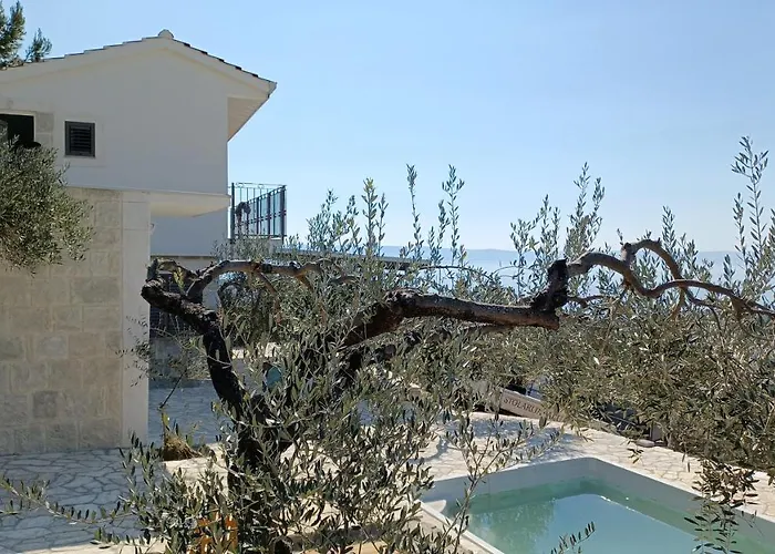 Olive Stone House Вилла